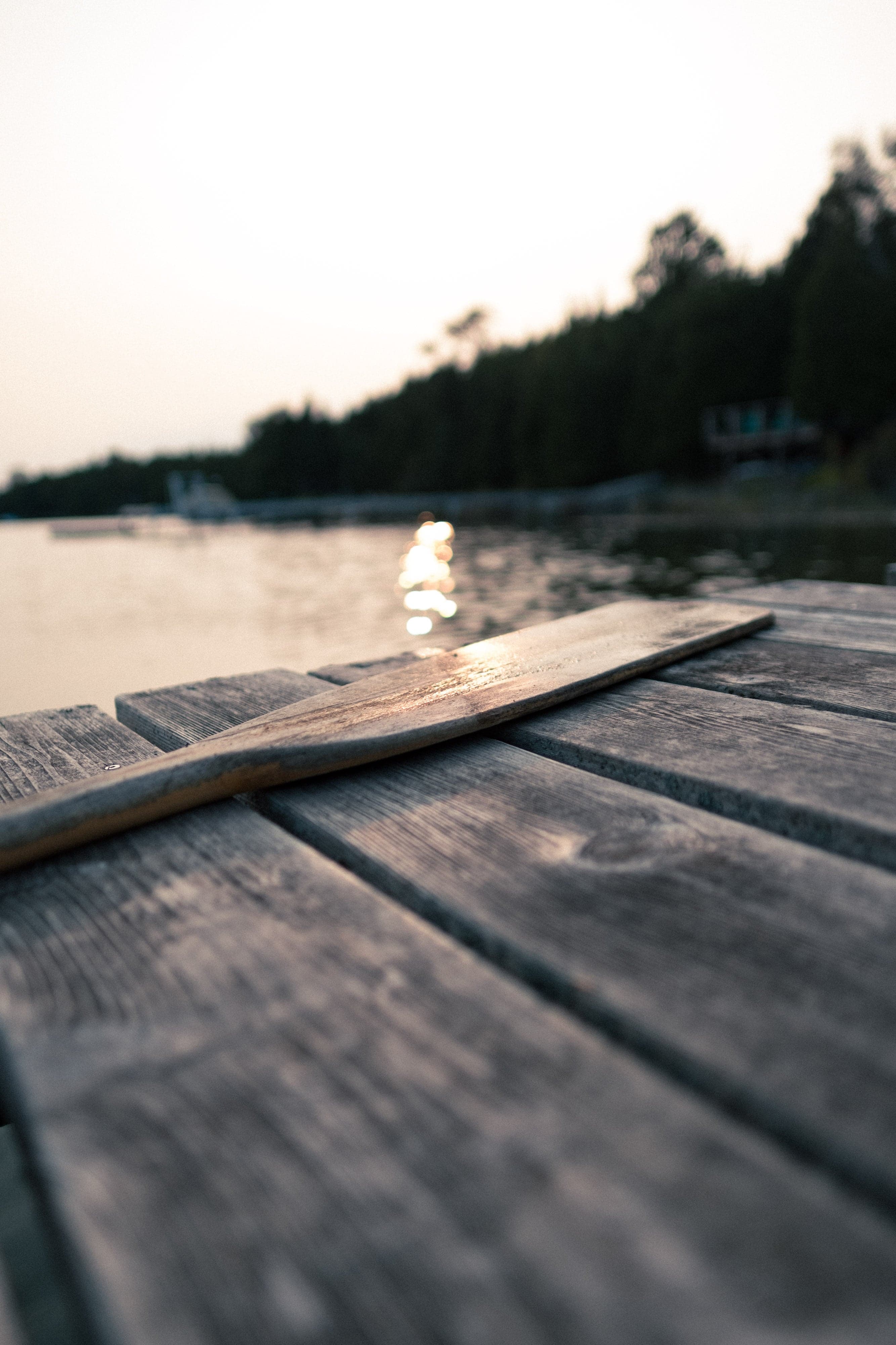 A paddle resting on a dock at a calm backcountry lake